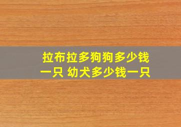 拉布拉多狗狗多少钱一只 幼犬多少钱一只